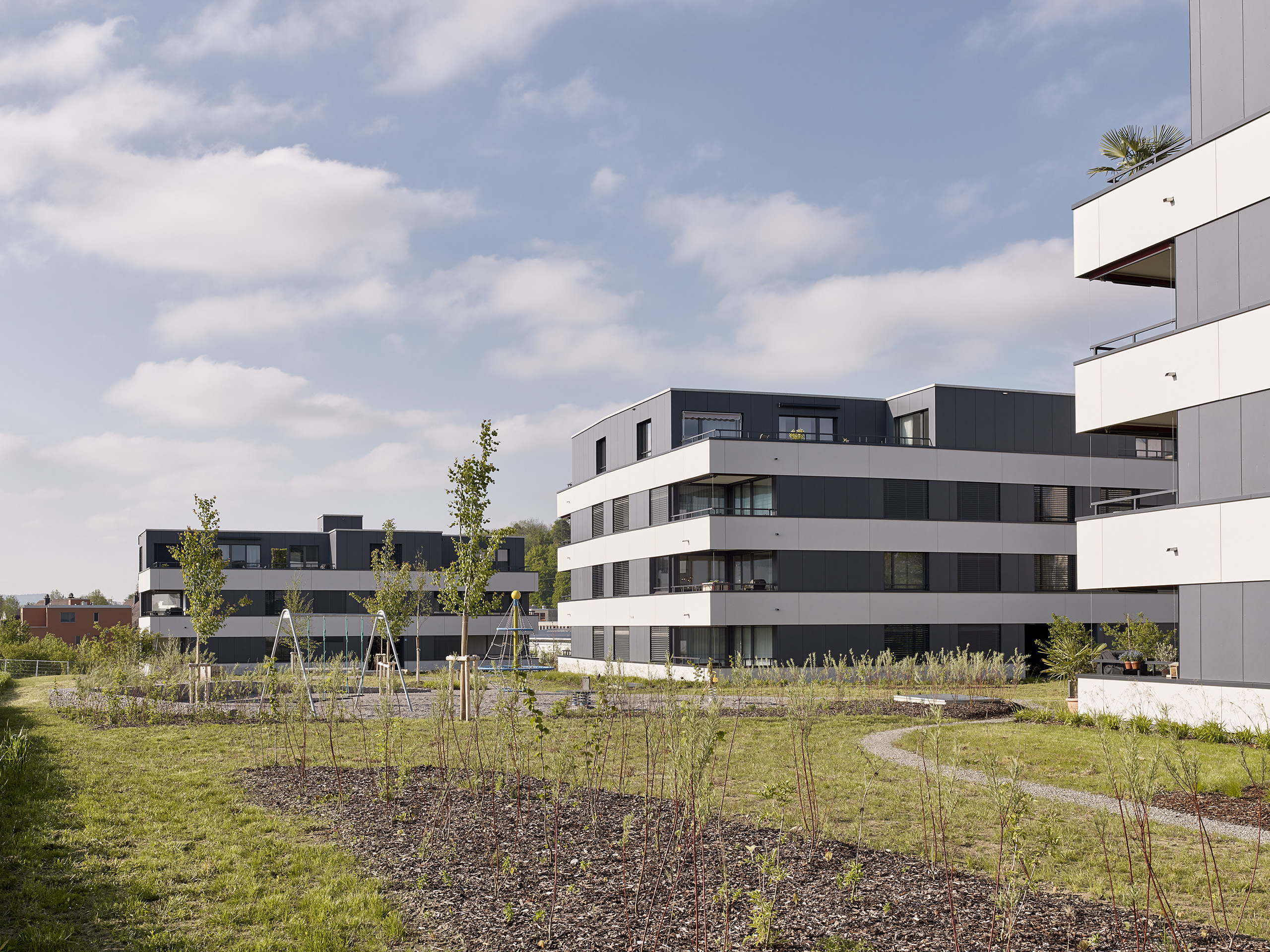 E18686 Alpa 088535 SCREEN